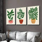 3pcs Leaves Growing in Pot Plant Wall Art Set Canvas Framed 40x60cm - High Quality Print 100% Australian Made Wall Canvas Ready to Hang