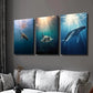 3pcs Turtle Devil Fish Blue Whale Illumination Wall Art Set Canvas Framed 40x60cm - High Quality Print 100% Australian Made Wall Canvas Ready to Hang