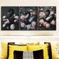 3pcs Very elegant black swan   Metal Print Ready to Hang Art