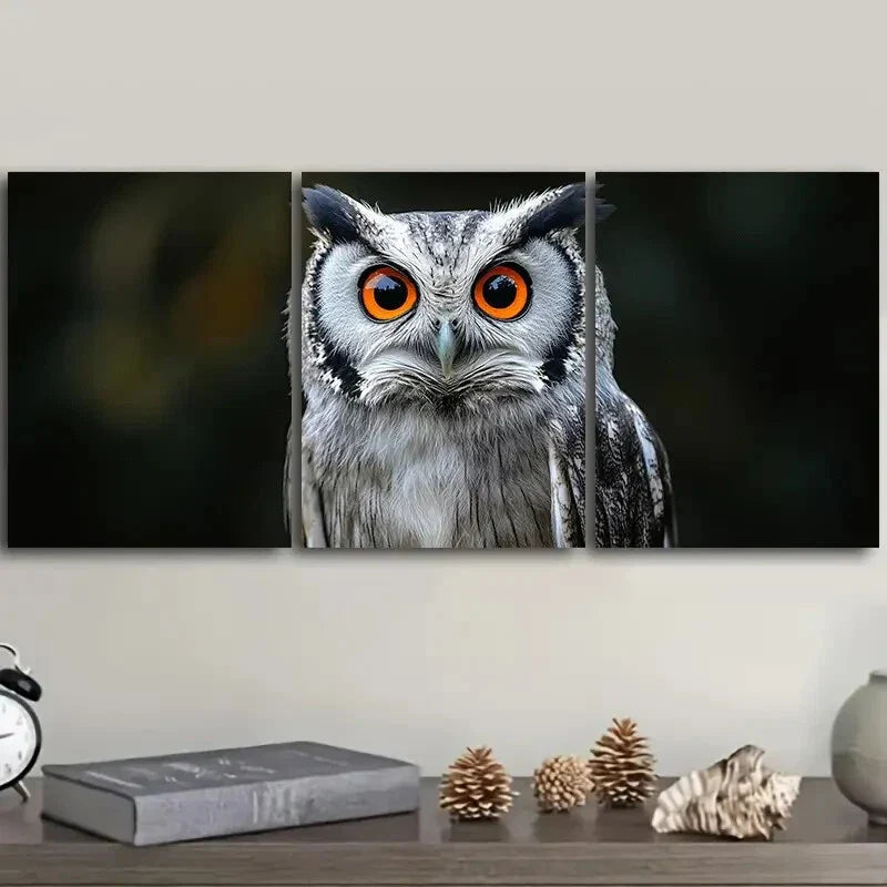 3pcs A photo of an owl with orange eyes  Wall Art Set Canvas Framed 40x60cm - High Quality Print 100% Australian Made Wall Canvas Ready to Hang