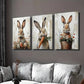 3pcs Rabbits with Eggs & Carrots Wall Art Set Canvas Framed 40x60cm - High Quality Print 100% Australian Made Wall Canvas Ready to Hang