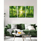 3pcs Green Tree Pictures Landscape Painting Metal Print Ready to Hang Art