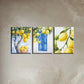 3pcs Lemon with Blue Window & Basket Metal Print Ready to Hang Art