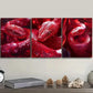 3pcs Red Crystal Snake Design, Wall Art Set Canvas Framed 40x60cm - High Quality Print 100% Australian Made Wall Canvas Ready to Hang