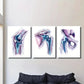 3pcs Modern Shoulder Anatomy, Metal Print Ready to Hang Art