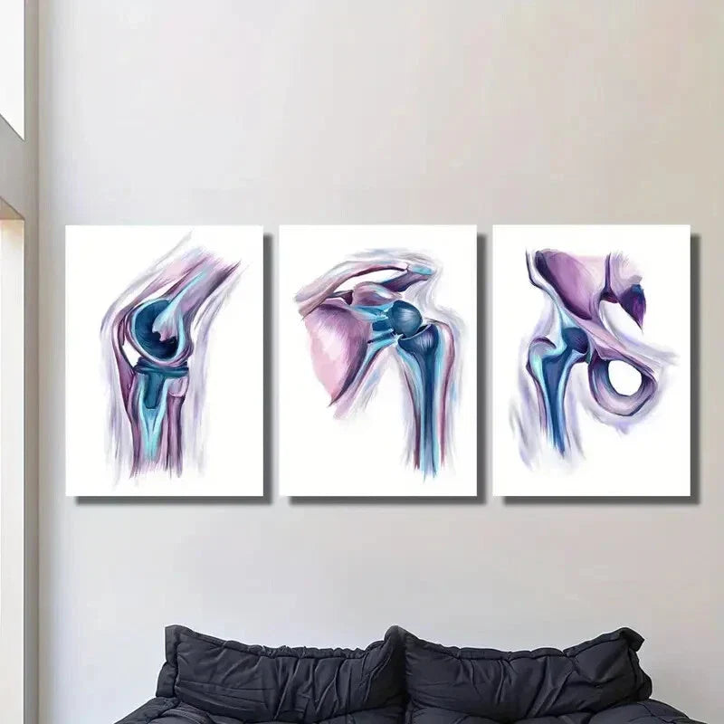 3pcs Modern Shoulder Anatomy, Metal Print Ready to Hang Art