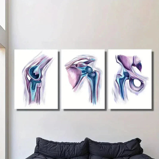3pcs Modern Shoulder Anatomy, Metal Print Ready to Hang Art