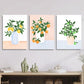3pcs Lime Tree in Vase, Watercolor Plant  Metal Print Ready to Hang Art