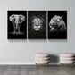 3pcs  Elephant Lion Tiger Animal Prints Metal Print Ready to Hang Art