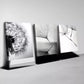 3pcs Interesting Simple Dandelion Black & White Wall Art Set Canvas Framed 40x60cm - High Quality Print 100% Australian Made Wall Canvas Ready to Hang