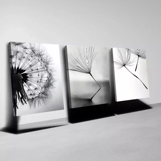 3pcs Interesting Simple Dandelion Black & White Wall Art Set Canvas Framed 40x60cm - High Quality Print 100% Australian Made Wall Canvas Ready to Hang