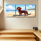 3pcs Adorable Dachshund Puppy on Beach Scene Metal Print Ready to Hang Art