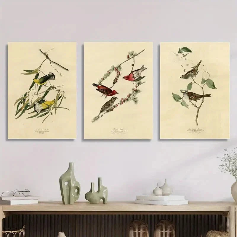 3pcs style birds of America illustration, Metal Print Ready to Hang Art