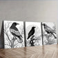 3pcs  The psychic Crow Wall Art Set Canvas Framed 40x60cm - High Quality Print 100% Australian Made Wall Canvas Ready to Hang