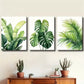 3pcs Tropical Leaf Spring and Summer Themes  Wall Art Set Canvas Framed 40x60cm - High Quality Print 100% Australian Made Wall Canvas Ready to Hang