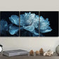 3pcs Featuring Large White Flowers Paintings Metal Print Ready to Hang Art
