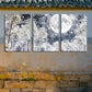 3pcs Winter Forest Scene Canvas Framed 40x60cm - High Quality Print 100% Australian Made Wall Canvas Ready to Hang