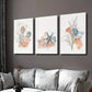 3pcs Abstract Seashell Coral Seaweed Wall Art Set Canvas Framed 40x60cm - High Quality Print 100% Australian Made Wall Canvas Ready to Hang