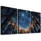 3pcs Modern Blue Starry Night Forest Tree Wall Art Set Canvas Framed 40x60cm - High Quality Print 100% Australian Made Wall Canvas Ready to Hang