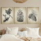 3pcs Pine Cone Autumn Woodland Pine Cone Metal Print Ready to Hang Art