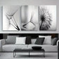 3pcs Dandelion Flower Black & White Canvas Framed 40x60cm - High Quality Print 100% Australian Made Wall Canvas Ready to Hang