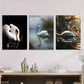 3pcs Elegant White Swans in Serene Water Scenes Wall Art Set Canvas Framed 40x60cm - High Quality Print 100% Australian Made Wall Canvas Ready to Hang