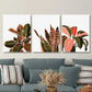 3pcs tropical natural green leaves, Metal Print Ready to Hang Art