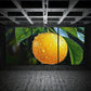3pcs Lemon Hanging On Trees Water Drops Metal Print Ready to Hang Art