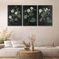3pcs  Elegant Botanical White Flower Triptych Wall Art Set Canvas Framed 40x60cm - High Quality Print 100% Australian Made Wall Canvas Ready to Hang