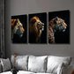 3pcs Tiger Lion & Leopard Animal Portraits Wall Art Set Canvas Framed 40x60cm - High Quality Print 100% Australian Made Wall Canvas Ready to Hang