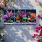 3pcs Vibrant Coral Reef Aquarium with Colorful Art Canvas Framed 40x60cm - High Quality Print 100% Australian Made Wall Canvas Ready to Hang