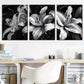 3pcs Modern Minimalist Black And White Floral  Wall Art Set Canvas Framed 40x60cm - High Quality Print 100% Australian Made Wall Canvas Ready to Hang