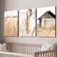 3pcs Rustic House & Reed Fields Landscape Wall Art Set Canvas Framed 40x60cm - High Quality Print 100% Australian Made Wall Canvas Ready to Hang