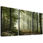 3pcs Classic Style Green Fall Forest Sun Rays Wall Art Set Canvas Framed 40x60cm - High Quality Print 100% Australian Made Wall Canvas Ready to Hang