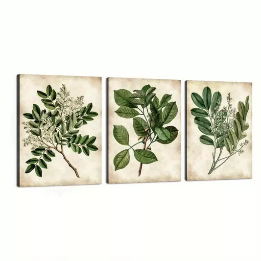 3pcs Abstract Green Leaves Botanical Vintage Wall Art Set Canvas Framed 40x60cm - High Quality Print 100% Australian Made Wall Canvas Ready to Hang