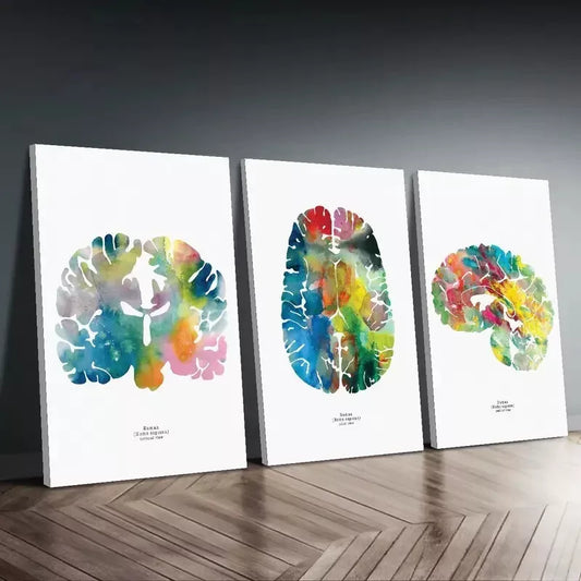 3pcs Neurology & Psychology Canvas Framed 40x60cm - High Quality Print 100% Australian Made Wall Canvas Ready to Hang