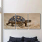 3pcs Golden Hues & Detailed Turtle Patterns Metal Print Ready to Hang Art