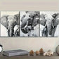 3pcs Majestic Elephant Metal Print Ready to Hang Art
