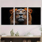 3pcs Black and White Lion Animal Metal Print Ready to Hang Art