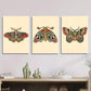 3pcs Vibrant Death'S Head Moth Skull Illustrations  Metal Print Ready to Hang Art