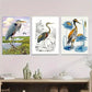 3pcs Herons in Nature Landscape Modern Wall Art Set Canvas Framed 40x60cm - High Quality Print 100% Australian Made Wall Canvas Ready to Hang