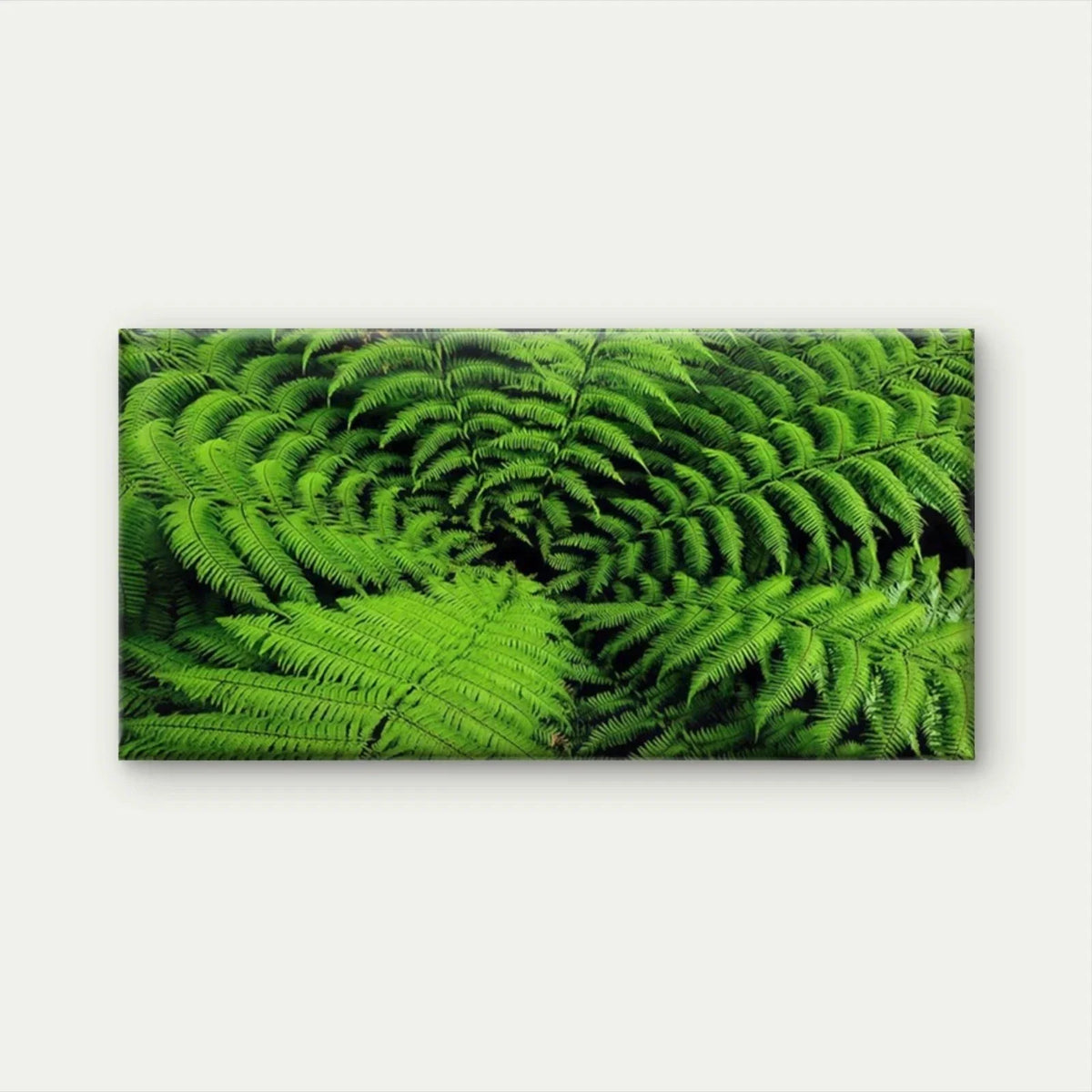 Green Fern Leaf Spiral Wall Art Canvas Office Home Room Framed 120x60cm