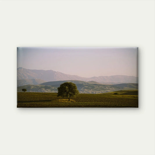 Minimalist Lone Tree Landscape Wall Art Canvas Office Home Framed 80x45cm