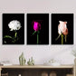 3pcs Flowers poster on black background Metal Print Ready to Hang Art
