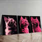 3pcs Vector illustration, cat Wall Art Set Canvas Framed 40x60cm - High Quality Print 100% Australian Made Wall Canvas Ready to Hang