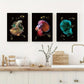 3pcs Siamese Fighting Fish Metal Print Ready to Hang Art