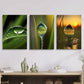 3pcs Beautiful Water, water drops on sunset  Metal Print Ready to Hang Art