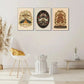 3pcs Dragonfly Moth Insect Floral Art Print Metal Print Ready to Hang Art