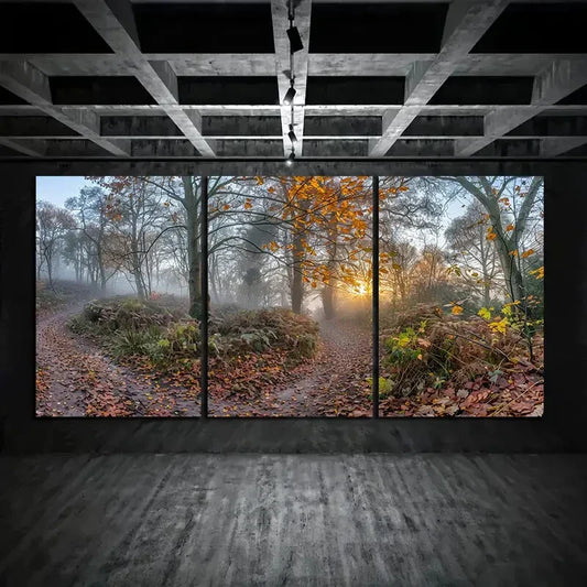 3pcs Misty Forest Sunrise Sunlight Through Trees Metal Print Ready to Hang Art