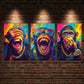 3pcs Featuring Three Monkeys with Open Mouths Wall Art Set Canvas Framed 40x60cm - High Quality Print 100% Australian Made Wall Canvas Ready to Hang